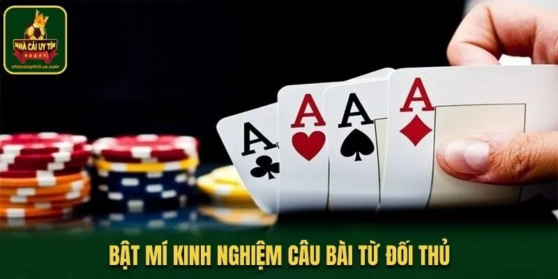 Bật mí kinh nghiệm câu bài từ đối thủ