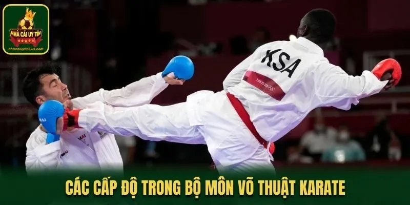 Các cấp độ trong bộ môn võ thuật karate
