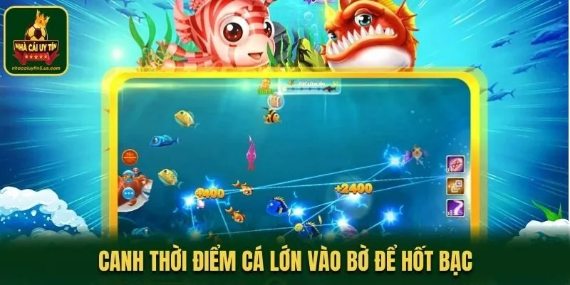 Canh thời điểm cá lớn vào bờ để hốt bạc