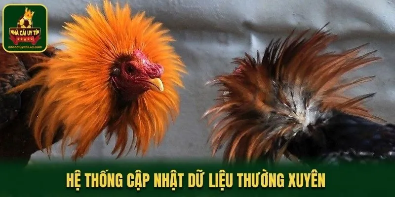 Hệ thống cập nhật dữ liệu thường xuyên