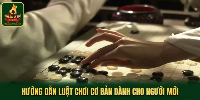 Hướng dẫn luật chơi cơ bản dành cho người mới