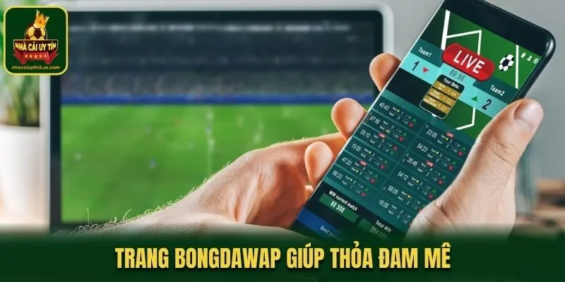 Trang Bongdawap giúp fan hâm mộ bóng đá được thỏa đam mê
